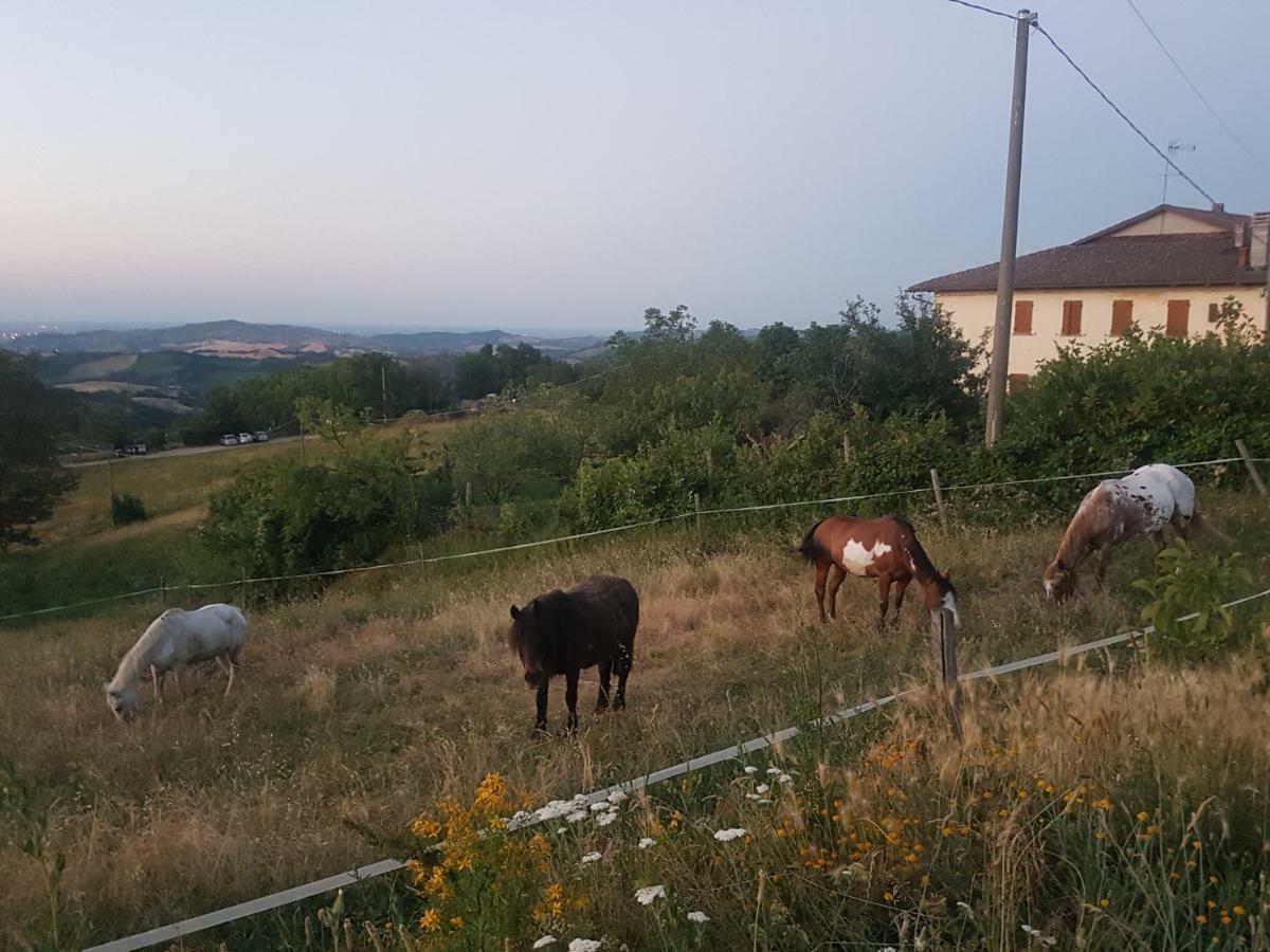 Agriturismo Piccola Raieda Villa Sasso Marconi Eksteriør billede