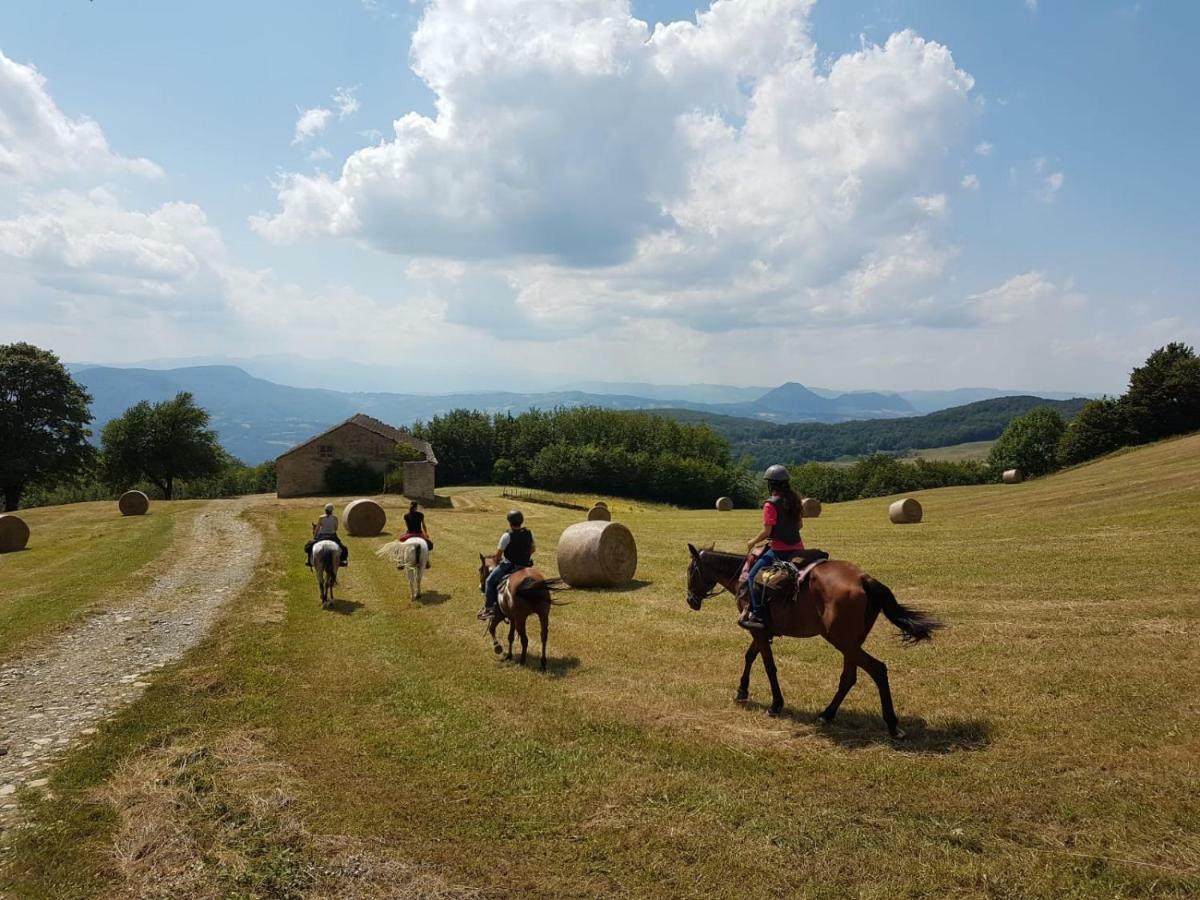 Agriturismo Piccola Raieda Villa Sasso Marconi Eksteriør billede