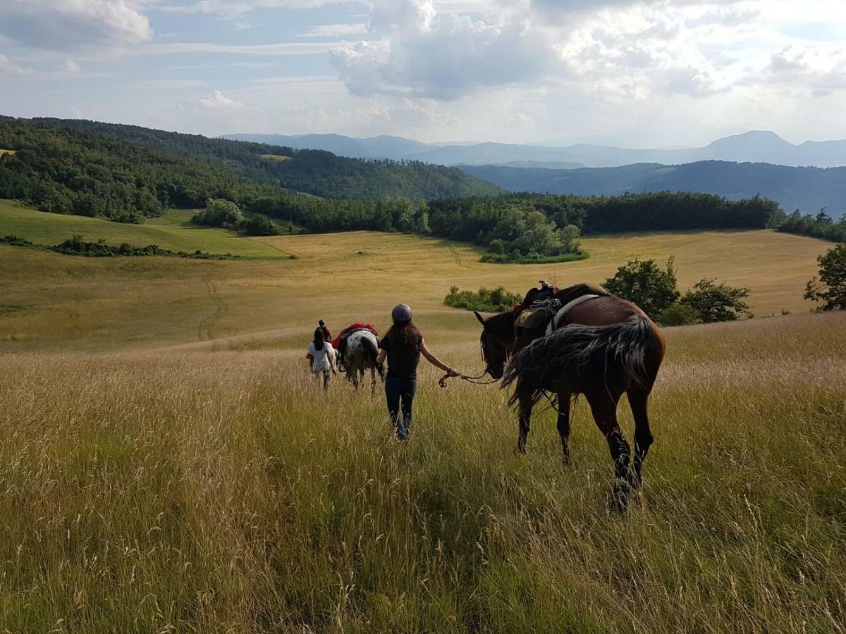 Agriturismo Piccola Raieda Villa Sasso Marconi Eksteriør billede
