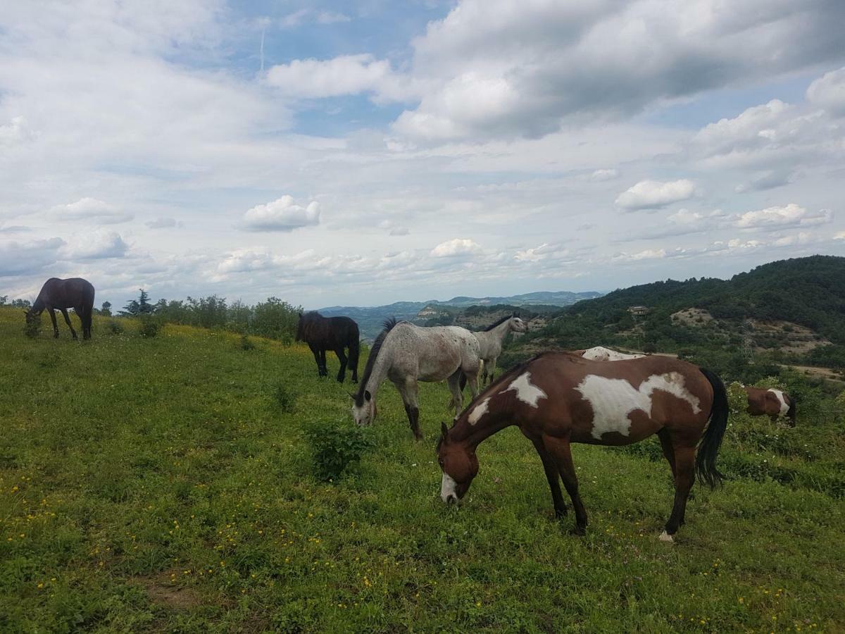 Agriturismo Piccola Raieda Villa Sasso Marconi Eksteriør billede