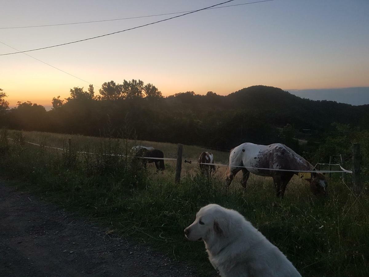 Agriturismo Piccola Raieda Villa Sasso Marconi Eksteriør billede