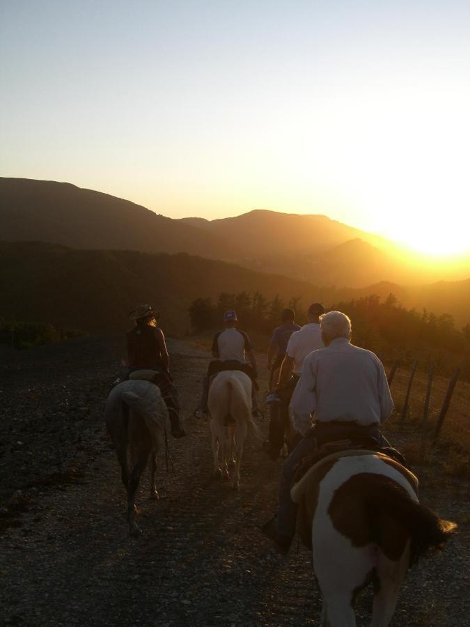 Agriturismo Piccola Raieda Villa Sasso Marconi Eksteriør billede