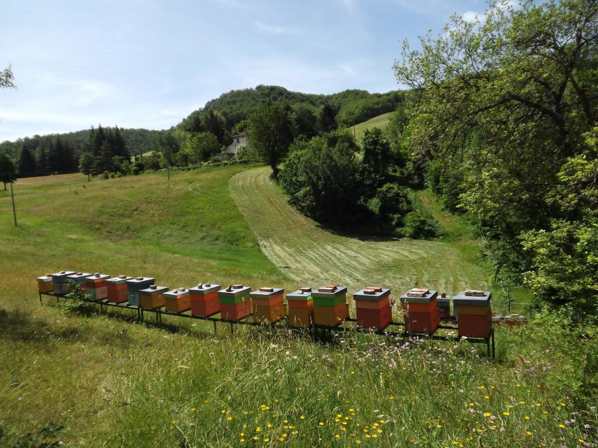 Agriturismo Piccola Raieda Villa Sasso Marconi Eksteriør billede